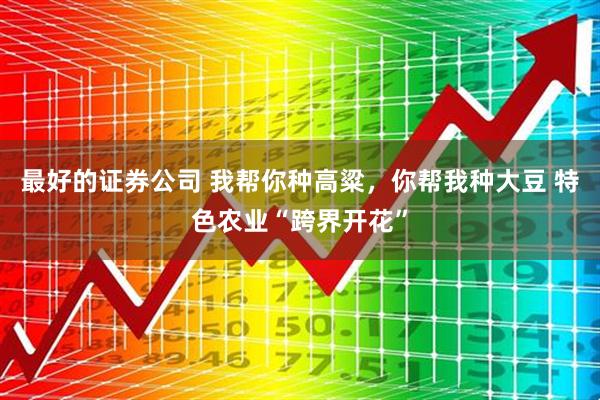 最好的证券公司 我帮你种高粱，你帮我种大豆 特色农业“跨界开花”